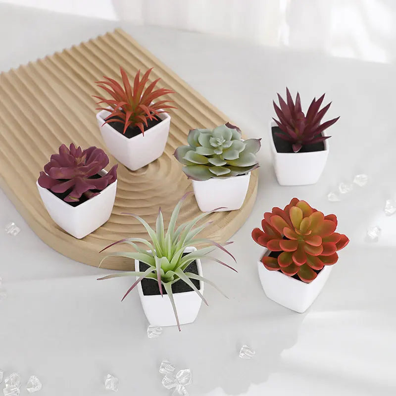 artificial succulents in pots uk 6-Piece Mini Artificial Succulent Plant Set in White Pots – Decorative – Home Aesthetics