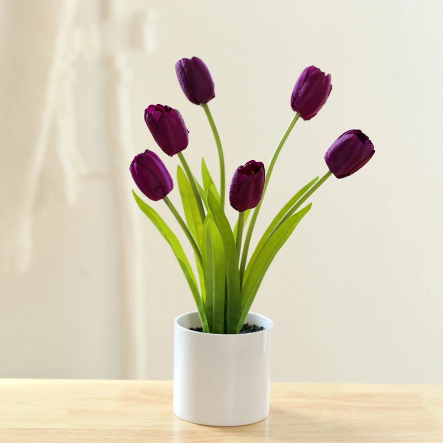 Tulip Bonsai Elegant Flowers