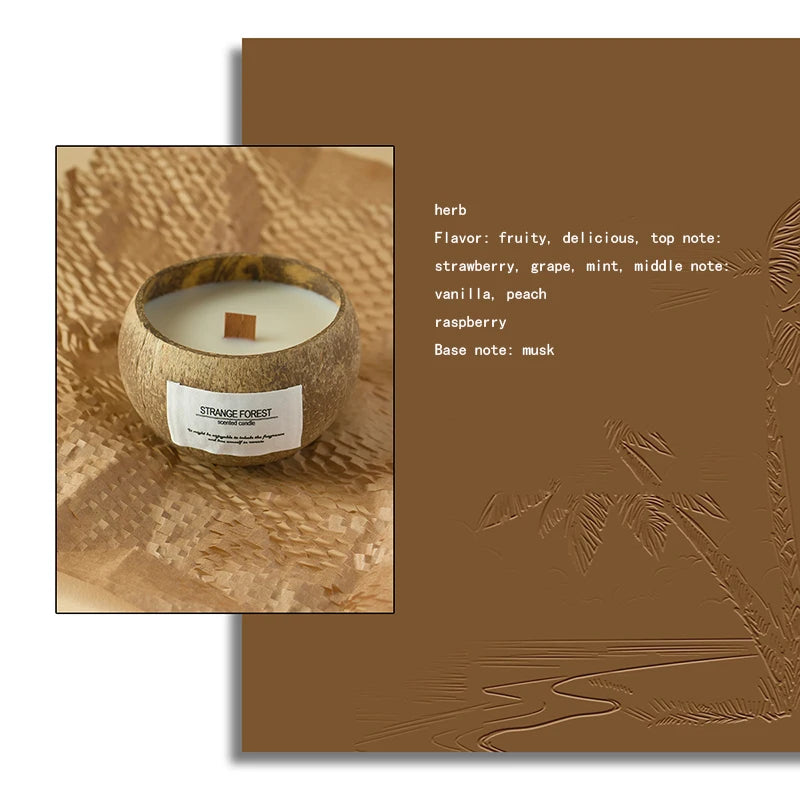 Natural Coconut Shell Scented Candle – Essential Oil Aromatherapy, Premium Plant Wax Home Fragrance