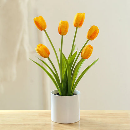 Tulip Bonsai Elegant Flowers