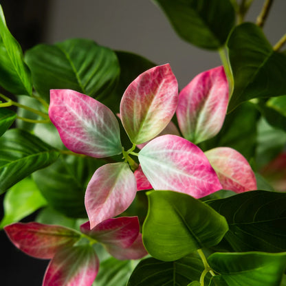 82–144cm Large Artificial Ficus Tree – Tall Faux Magnolia & Banyan Plant for Home & Garden Décor