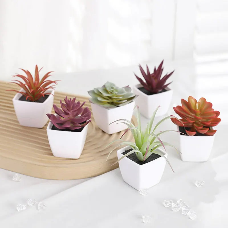 Small Plants Set of (6PCS) Artificial Plants