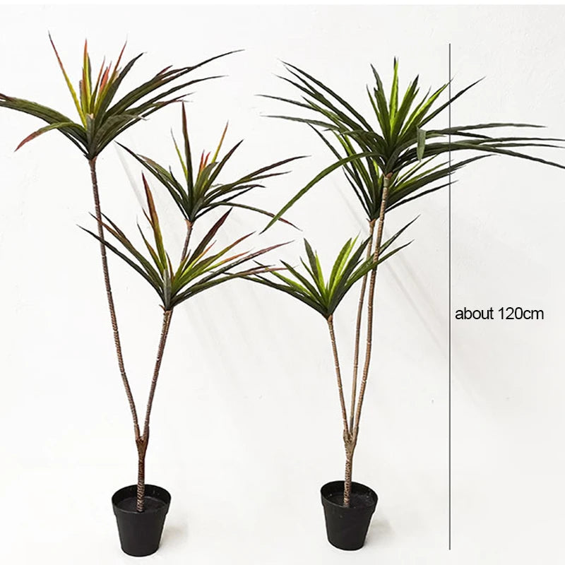 90-120cm Large Tropical Tree Plant