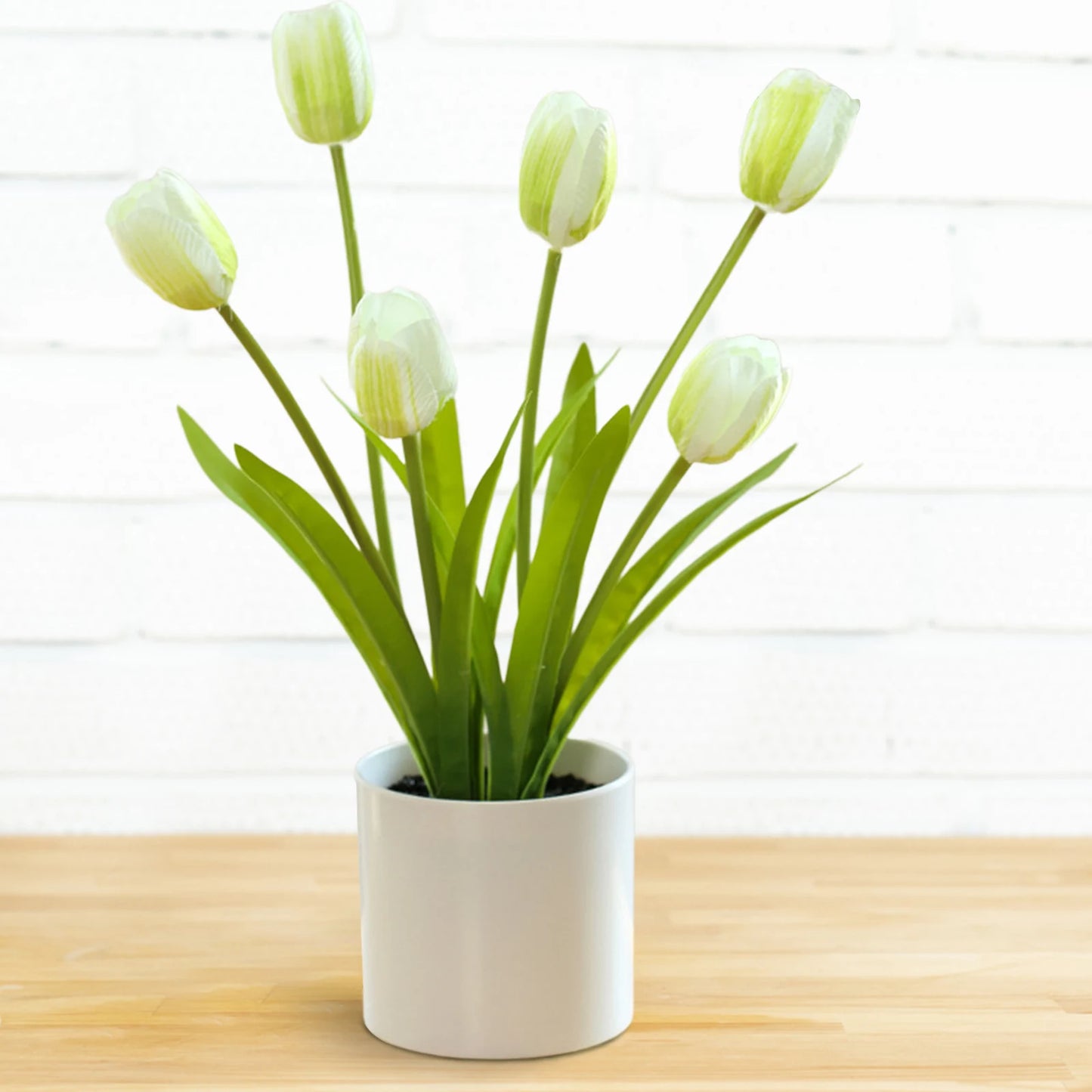 Tulip Bonsai Elegant Flowers