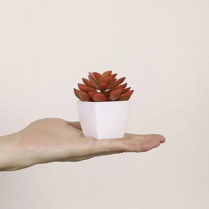 Small Plants Set of (6PCS) Artificial Plants