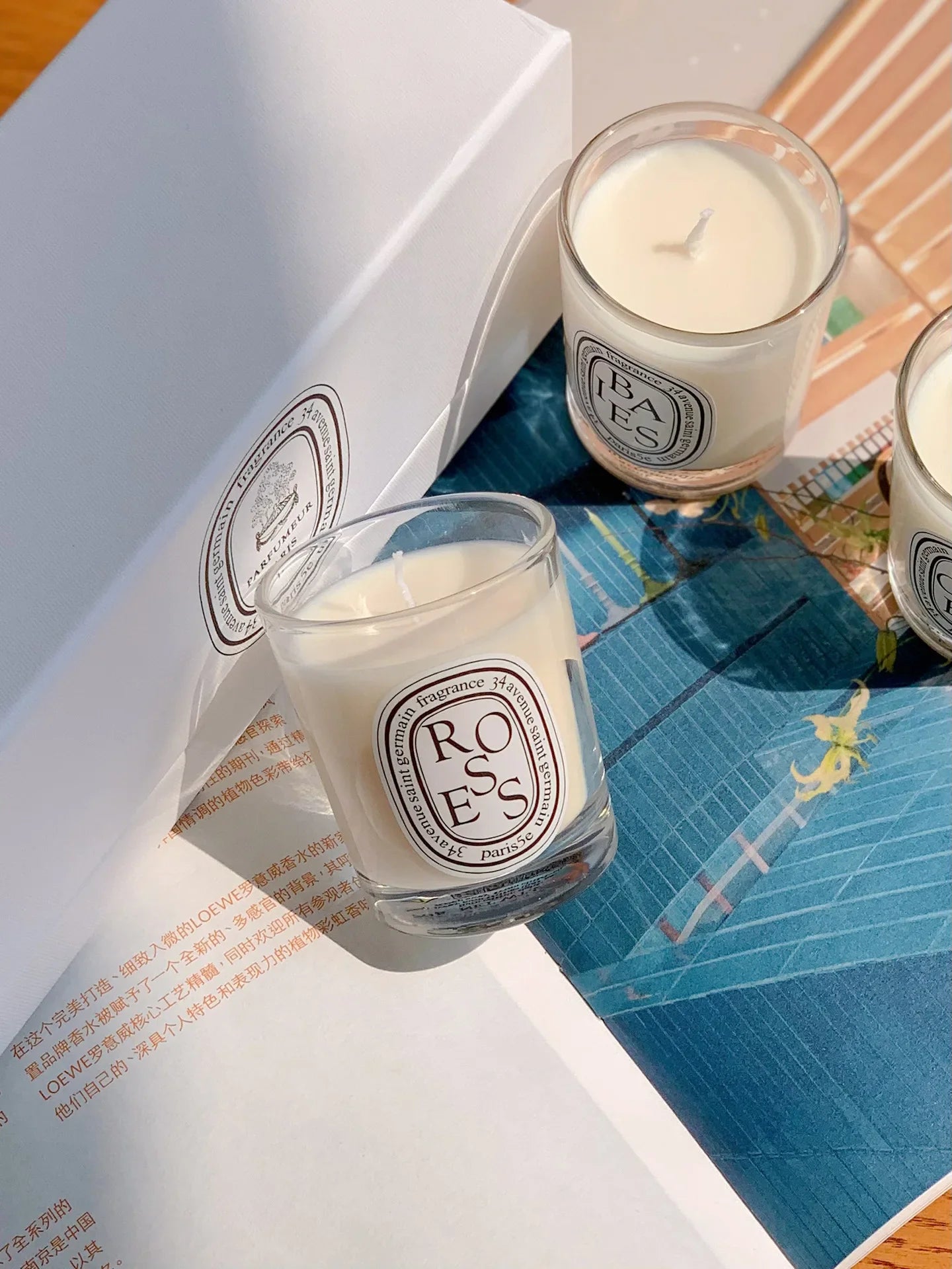 Natural Plant-Based Aromatherapy Candle – French Fragrance, Fresh Elegant Scent, Long-Lasting Home Aroma Gift