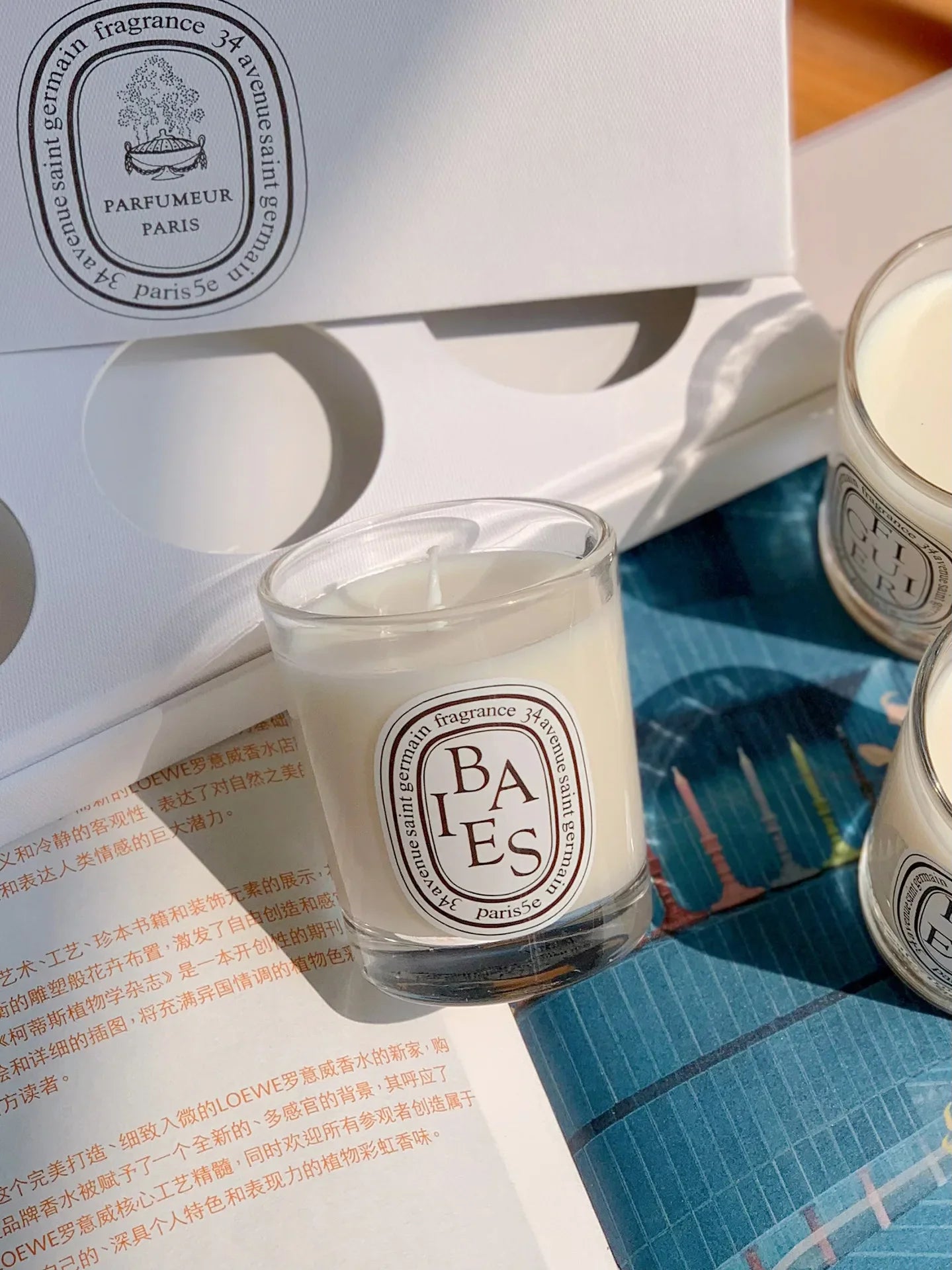 Natural Plant-Based Aromatherapy Candle – French Fragrance, Fresh Elegant Scent, Long-Lasting Home Aroma Gift