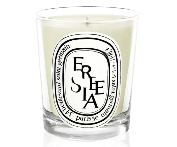 Natural Plant-Based Aromatherapy Candle – French Fragrance, Fresh Elegant Scent, Long-Lasting Home Aroma Gift