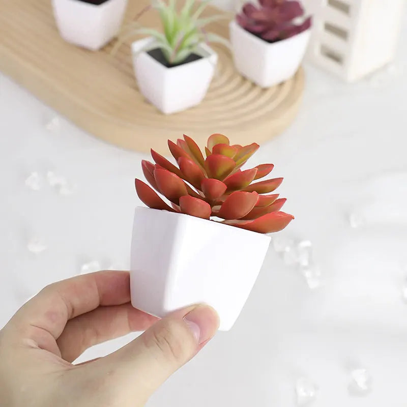 Small Plants Set of (6PCS) Artificial Plants