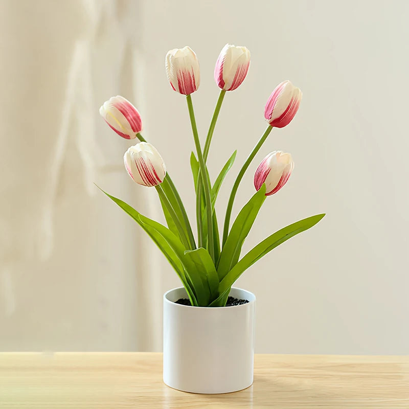 Tulip Bonsai Elegant Flowers