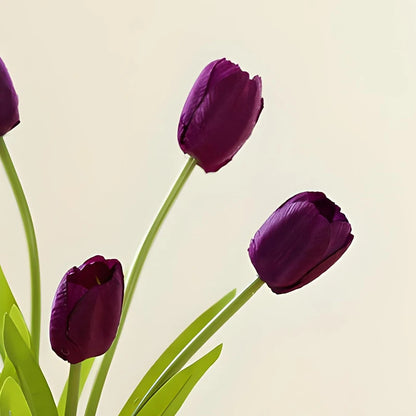 Tulip Bonsai Elegant Flowers